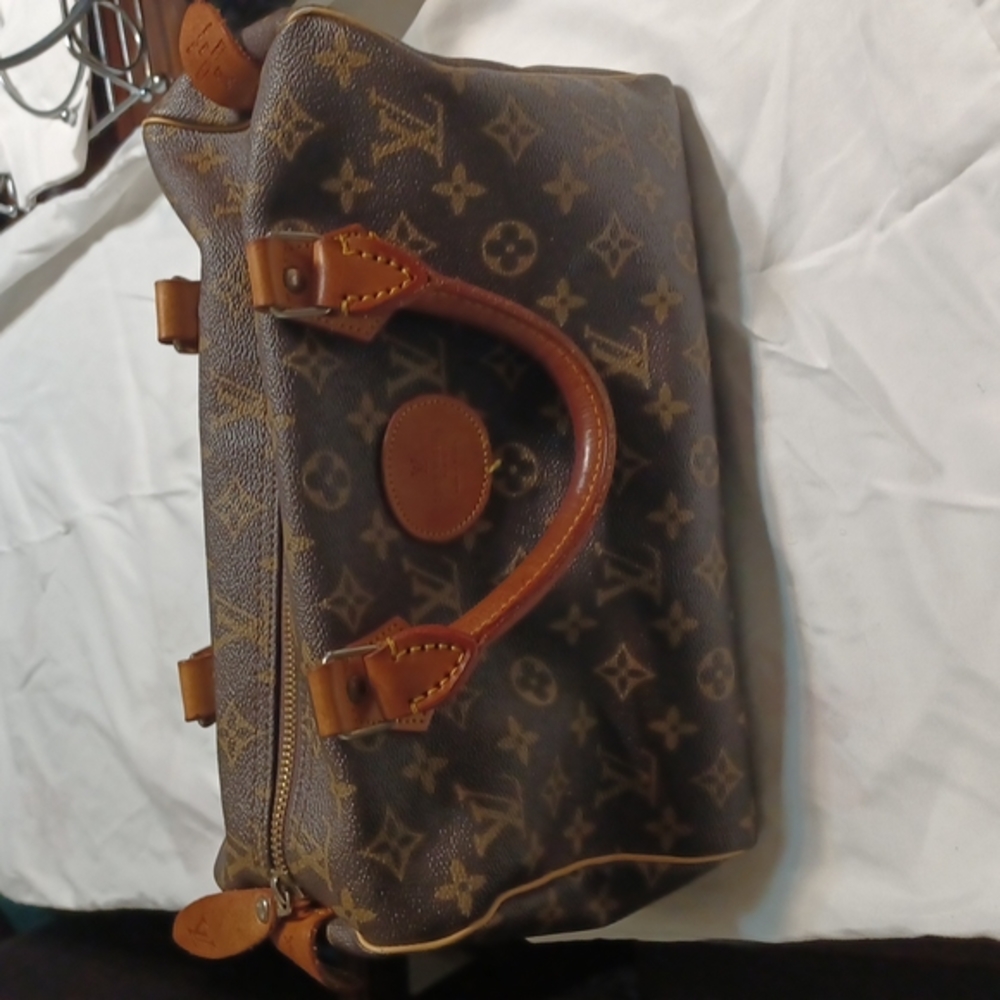 Louis vuittons purse